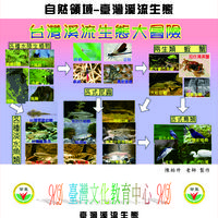 自然領域-台灣溪流生態