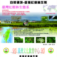 自然领域-台湾红树林生态